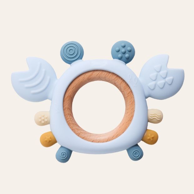 Sensorische BeißKrabbe