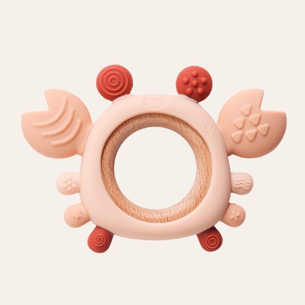 Sensorische BeißKrabbe